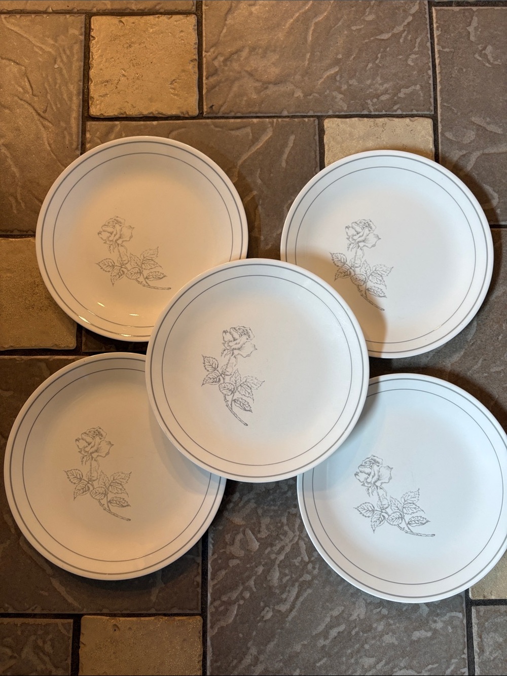 solitary Rose Dinner Plates - White (Set of 5) ten inch plates corelle